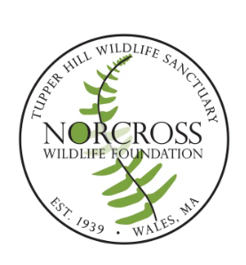 Norcross Wildlife Foundation Wales, MA